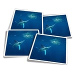 4x Square Stickers 10 cm - Marlin Swordfish Sea Creature  #21848