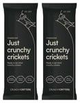 Crunchy Critters edible insects bugs Crickets x 2 packs