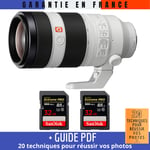 Sony FE 100-400mm f/4.5-5.6 GM OSS + 2 SanDisk 32GB UHS-II 300 MB/s + Guide PDF 20 techniques pour réussir vos photos