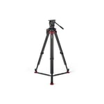 Sachtler System Aktiv 10T FT-100 MS