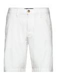 Hco. Guys Shorts White Hollister