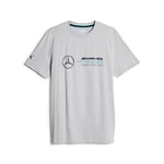 PUMA Mens Mercedes Essentials Logo Tee, Mercedes Team Silver- Ah23, XXL