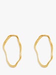Deborah Blyth Ripple II Stud Earrings, Gold
