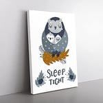 Big Box Art Sleep Tight Owl Typography Canvas Wall Art Print Ready to Hang Picture, 76 x 50 cm (30 x 20 Inch), White, Grey, Black