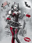 Batman Arkham Knight (Harley Quinn) 60 x 80 cm Toile Imprimée