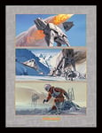 Star Wars Battle on Hoth Memorabilia, Multi-Colour, 30 x 40 cm