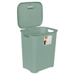 65L Hamper Large Plastic Laundry Basket with Lid & Handles Clothes Storage Bin