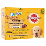 Pedigree Junior Sélection Mixte Sachets fraîcheur en gelée – Nourriture pour chien junior – 4 saveurs différentes – 48 sachets de 100 g