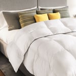 Couette 220x240 cm aela blanche en plume d'oie anti acarien 500 gr