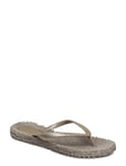 Flip Flop With Glitter Shoes Summer Shoes Sandals Flip Flops Grey Ilse Jacobsen