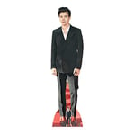 Star Cutouts Ltd Harry Styles Red Shoes Post 1 Direction Lifesize Cardboard Cutout Height 182cm for Fans, Friends & Family, CS734, 3 x 49 x 182 cm