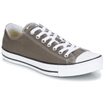 Converse Sneakers CHUCK TAYLOR ALL STAR SEAS OX Grå dam