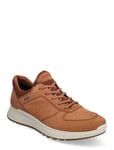 Exostride M Brown ECCO