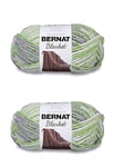 Bernat Blanket Lilac Leaf Lot de 2 pelotes de fil à tricoter pour couverture, 300 g, polyester, n°6, super épais, 200 m, pour tricot/crochet