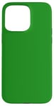 Coque pour iPhone 15 Pro Max Couleur vert forêt simple