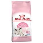 Royal Canin Babycat 2 kg