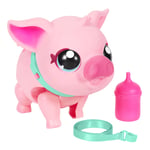 Little Live Pets - My Pet Pig   Soft and Jiggly Interactive Toy Pig  (US IMPORT)