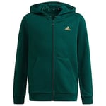 Adidas GS4260 B BL FZ HD Sweat collegiate green/semi solar gold 910Y