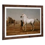 Big Box Art Framed Print of Jacques-Laurent Agasse The Wellesley Grey Arabian Design | Wall Art Picture| Home Decor for Kitchen, Living Room, Bedroom, Hallway, Walnut, A2 / 24.5x18 Inch / 62x45cm