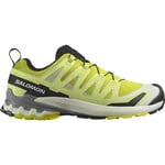 Salomon XA Pro 3D V9 Men herrskor Sulphur Spring/Vanilla Ice/Sha UK 12/EU 47 1/3 - Fri frakt