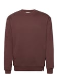 Crew Sweatshirt Tops Sweat-shirts & Hoodies Hoodies Brown Les Deux