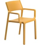 Nardi - Chaise Avec Accoudoirs Trill- Senape- Jaune