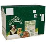 James Wellbeloved Grain Free Puppy Dog Food with Lamb and Chicken in Gravy Pouch 12 x 90 g