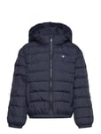 GANT Shield Padded Jacket Marinblå