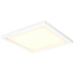 Philips Lighting Hue Panneau LED 871951438264000 Hue White Amb. Aurelle