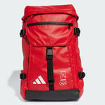 adidas Poland Backpack Unisex Adult