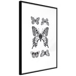 Plakat - Five Butterflies - 30 x 45 cm - Sort ramme