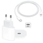 iPhone Snabbladdare - 20W PD Adapter + 2 Meter 20W Snabbkabel