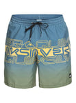 Quiksilver Everyday Wordblock 17" - Short de Bain pour Homme