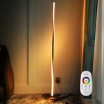 COMY Modern Dimmable LED Atmosphere Light for Living Room Bedroom 20W 110V-260V Floor Lamp with Remote Control Minimalist RGB Standing Lights,White amp arm