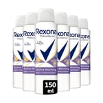 REXONA - Déodorant Femme Active Morning - Spray Anti-transpirant - 0% Alcool - Parfum floral et fruité - Protection 48h (lot de 6x 150ml)