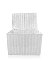 Laundry Resin Woven Basket Storage Chest Trunk Hamper/Kids Toy Storage Box Basket (Medium - W37xD26x26cms)