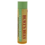 Burts Bees Baume à lèvres hydratant à la menthe et au concombre pour femme Baume à lèvres de 0,15 oz