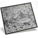 Placemat Mousemat 8x10 BW - Baby Alligator Swamp Wild Fun  #38268