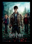 Harry Potter "Deathly Hallows Part 2" Framed Print, 30 x 40 cm