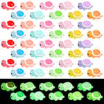 Hejo Lot de 50 Mini Petites Tortues Lumineuses en Résine, Miniature Figurine Turtles- Bricolage Multicolores de Petits Tortue en Résine pour Décoration de la Maison, Jardin et Fête (10 Couleurs)