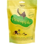 Dippies Fruit Dips Ananas Torkad Frukt 100g