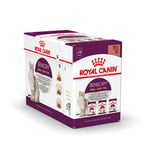 Royal Canin Sensory Smell Taste Feel  - 24 x 85 g