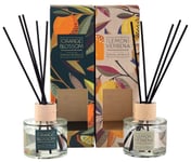 Citrus Lemon Orange Reed Diffusers 100ml - In Gift Box -  Set of 2