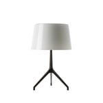 Foscarini Lumiere XXS bordslampa vit, munblåst glas, svart krom