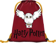 Sac de gym maternelle, sac de sport pour garçons, filles, sac de sport pour enfants, sac à chaussures, sac de sport, Harry Potter - Hedwig