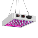 3000w Led Grow Light Hydroponic Full Spectrum Indoor Plant Tält Light