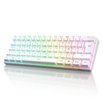 RK ROYAL KLUDGE RK61 Clavier sans Fil, AZERTY 60% Clavier Gaming Mecanique, Rétroéclairage RGB par Touche Personnalisable, Touches à Double Injection Interrupteur Rouge échangeable à Chaud, Blanc