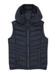 Light Weight Vest Navy Tom Tailor