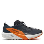 Löparskor Salomon Sense Ride 5 Gore-Tex L47459400 Grå