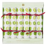 Botanical Sprout Luxury Eco Friendly Christmas Crackers (6 Pack)